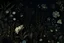 Placeholder: dark cottagecore botanic wildflowers