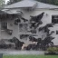 Placeholder: It's raining dogs on my house then my house falls