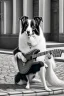 Placeholder: One single mature border collie, friendly, playing guitar in the street , Vienna, opera, sunny day, model style, hyper realistic, extremely accurate, delicate, extremely detailed, Graphic novel style, wide-angle, open aperture, superfine pencil