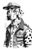 Placeholder: Ink sketch of a dalmatian dressed as a taxi driver