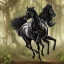 Placeholder: A black stallion galloping through the woods