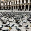 Placeholder: Lots of pigeons eating grains in a large square