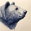 Placeholder: sideview of bear head, low detail inkpen sketch with strong contrast, use 70s comics style, indigo ink on creamy paper texture