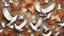 Placeholder: Hyper Realistic Dry Autumn Leaves blowing & white pigeons flying on a vintage rustic background