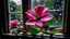 Placeholder: pink flower with water drops in front of window