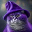 Placeholder: a cat wearing a purple hat