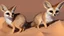 Placeholder: Highly detailed medium shot of a fennec fox, sand, beige, cute, sun, hot, cacti