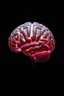 Placeholder: PHoto of brain on black background