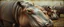 Placeholder: airbrush and pen outline, french art , extreme close up on hippo farm , pinhole cam, airbrush 3d rendering, in the style of Titian and Rembrandt , torn edges on border