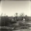 Placeholder: A landscape, odd black and white old photo, dystopic atmosphere, trees, some odd houses, George Grosz