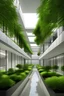 Placeholder: hospital minimalista de lujo con mucha vegetación