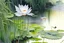 Placeholder: Masterpiece, best quality, runny watercolor painting of lotus flowers, growing in a ditch, with a heron standing on the bank of the ditch, surrounded by ancient trees, ultra sharp detail
