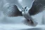 Placeholder: snow OWL wings attack