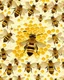 Placeholder: bees flutter over the hive, behind there is a honey yellow background and honeycombs