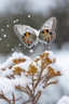 Placeholder: butterflies and bubbles in the snow