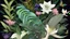 Placeholder: Floral composition of Jade Vine, ghost orchid, Lotus, Camellia japonica, Banksia, Dicentra Formosa, assorted leaves, and butterflies on a deep dark background