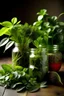 Placeholder: Healing Power of herb Plants
