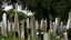 Placeholder: cemetery in the heart of the old city