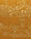 Placeholder: honeycombs and royal jelly 3d background