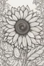 Placeholder: sunflowerr picture coloring page with decorative border around edges