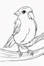 Placeholder: blank colouring book, white blank background, simple picture for toddlers, bird pet, disney and pixar style