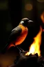 Placeholder: Describe a bird that is half burned but still wants to keep going.