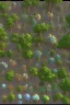 Placeholder: Top-Down Trees Pixel Art