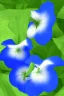 Placeholder: three Blue morning glory with green leaves, arranged vertical, a digital rendering by Kanzan Shimomura, photo realistic rendered in maya and daz3d, with a dark blue background