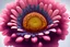 Placeholder: flower