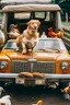 Placeholder: Perro en coche atropellando gallinas