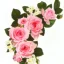 Placeholder: Pink roses, crisp detail, photograph