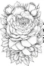 Placeholder: Outline art for wreath of peony flower. Coloring pages with wreatht of peony flower. white backgroud. Sketch style, full body, only use outline, clean line art, white background, no shadows and clear and well outlined. black outline, black and white only. only outline should be black everything else should be white