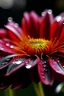Placeholder: close up flower real nature