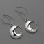 Placeholder: earring, jewlery, round, silver, crescent moon