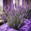 Placeholder: Concept of a lavender flower in a tourist hotel