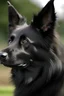 Placeholder: dog