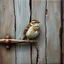 Placeholder: Small brown wren with intricate feathers perched on a weathered barn door, the door is cracked and rotting with a rusting handle, intricate woodgrain patterns with peeling paint, rusted bolts, deep textures, acrylic art, highly detailed