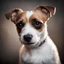 Placeholder: Jack Russell Terrier dog portrait, low light, blurred background. Shallow depth