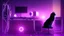 Placeholder: Cute black cat sitting on a gaming chair, in front of a gaming PC table, in a dark room with purple lights and gaming posters, atmospheric, gorgeous, realistic