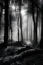 Placeholder: magic trees that are in forest black and white