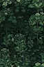 Placeholder: forest in green and gray on a black background in baroque style