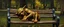Placeholder: master oil painting by Rembrandt, orc gremlin sleeping on a bench in the park