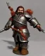 Placeholder: d&d character, dwarf, male, paladin, plate armor