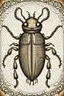 Placeholder: vintage, gothic, steampunk drawings of a beetle, sepia-toned