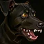 Placeholder: illustration of an angry black terrier on black background, yellow eyes