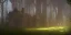 Placeholder: Ruined overgrown small castle in a forest, light rays, dynamic lighting, night