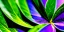 Placeholder: realistic, colorful, epic, ray tracing, cinematic, 8k, HD, Ultra High Definition, photo film, film grain, high quality ultra detailed vibrant colorful iridescent exotic marijuana plant leaf