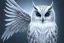 Placeholder: snow winged OWL