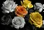 Placeholder: images of Floribunda for color: , black and white background, fine lines