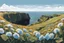 Placeholder: realistic cliffs of moher blue sky panoramick view monocolour flowers